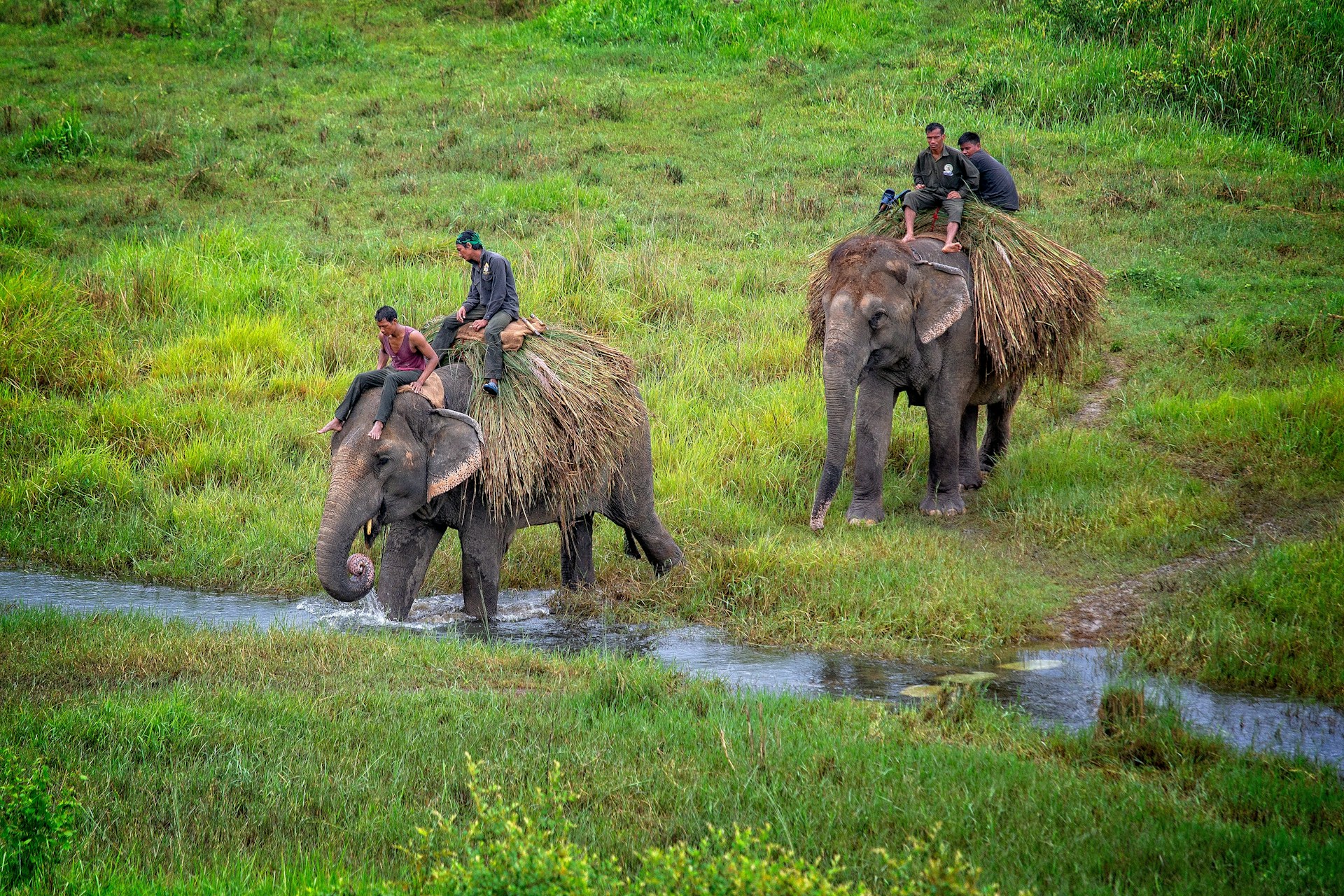 Chitwan Jungle Safari - 4 Days